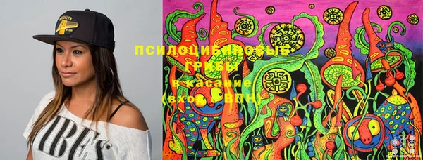 молекула духа Баксан