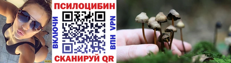 мега зеркало  Горно-Алтайск  Псилоцибиновые грибы прущие грибы 
